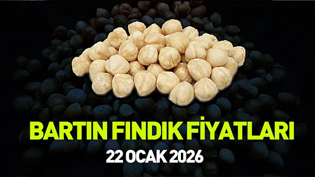 Bartın fındık piyasasında son rakamlar (22 Ocak 2026)