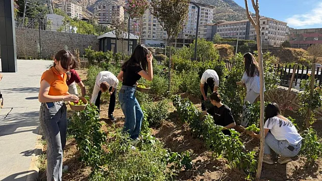 Sason'da kitap okuyan öğrenciler bahçede üretim yapıyor