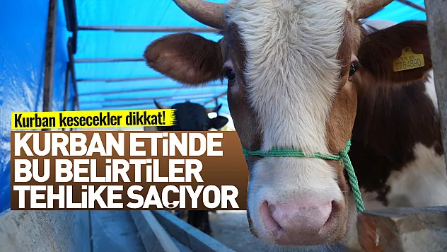 Bayram öncesi uzman alarmı: Kurban etindeki bu detay gözden kaçmasın