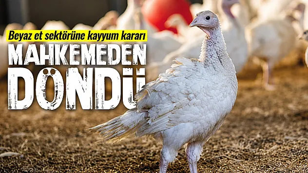 Beyaz et sektörüne kayyum kararı mahkemeden döndü