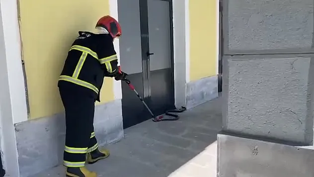 Bi̇tli̇s'te TCDD bi̇nasinda yılan yakalandı