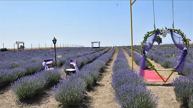 Bilecik'in 'Lavanta Kokulu Yollar' projesine uluslararası ödül