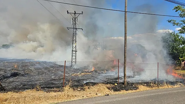 Bingöl'de otluk alanda yangın çıktı