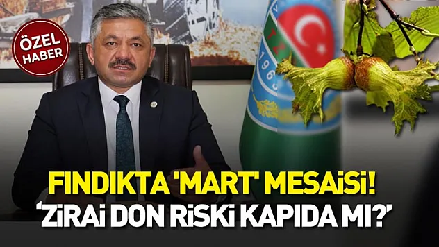 Bölge ekonomisinin kalbi fındıkta 'Mart' mesaisi! 'Zirai don riski kapıda mı?'
