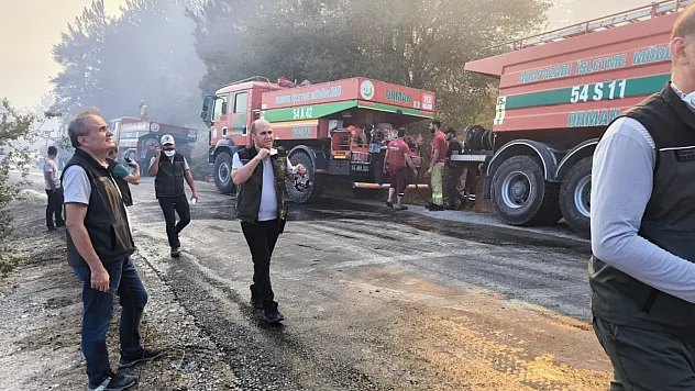 Bolu'da çıkan orman yangınına müdahale devam ediyor