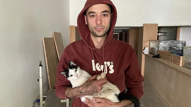 Boş dükkandaki kediler ilginç bir tartışmaya konu oldu