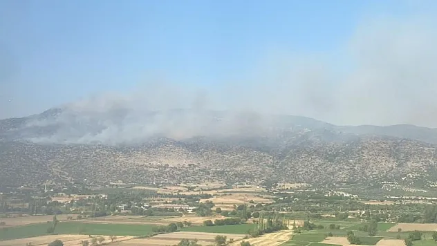 Bozdoğan'da makilik yangını