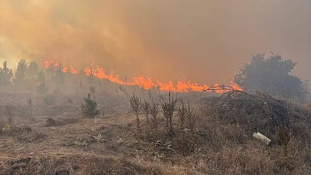 Bozüyük Orman yangını havadan ve karadan müdahaleyle kontrol altına alındı