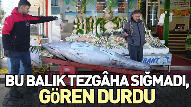 Bu Balık Tezgâha Sığmadı, Gören Durdu