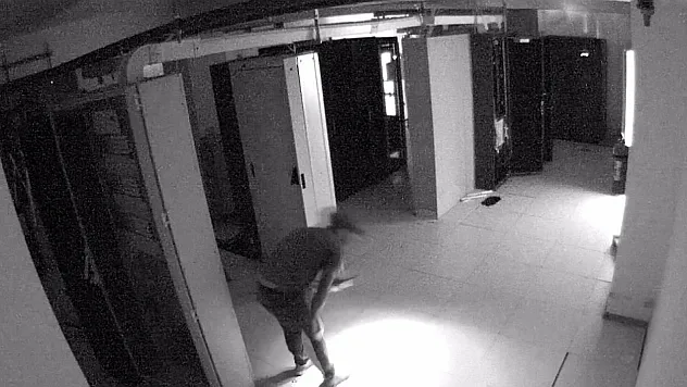 Bu da oldu: Hırsızlar güneş enerji santralini soydu