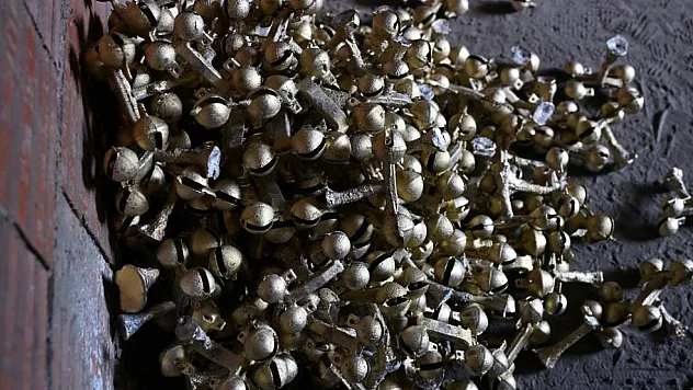 Bu zili Türkiye'de sadece 2 kişi üretiyor