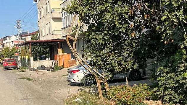 Bükülmüş direk hayrete düşürüyor!