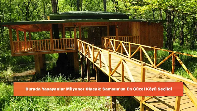Burada Yaşayanlar Milyoner Olacak: Samsun'un En Güzel Köyü Seçildi
