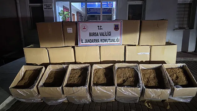 Bursa'da 750 kilogram kaçak tütün ele geçirildi