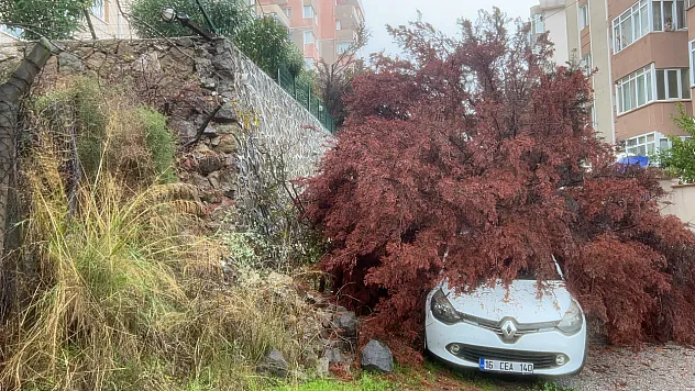 Bursa'da sağanak ağacı devirdi, otomobilin üzerine düştü
