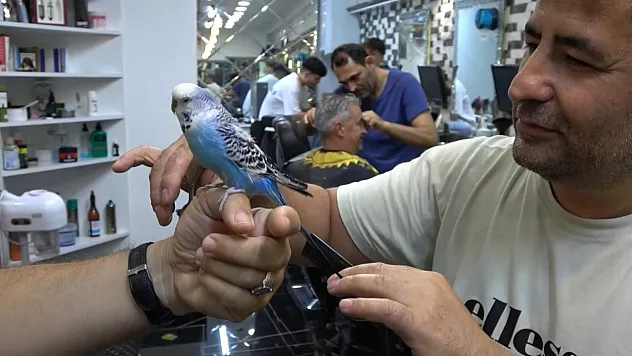 Bursa'nın çarşı maskotu: Müdür