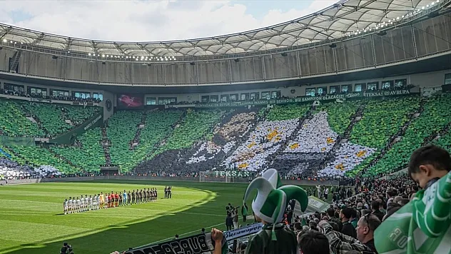 Bursaspor, 1. lige yükseldi