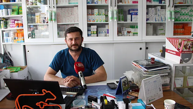 Büyükbaşlarda Korkulan Hastalık