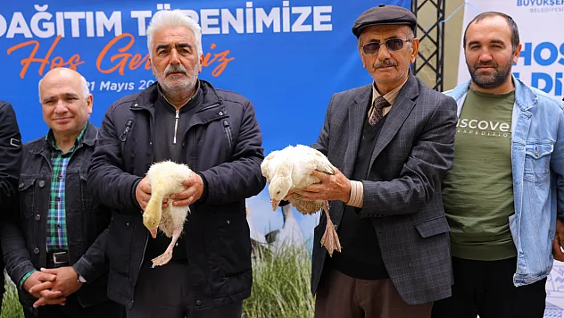 Büyükşehir'den üreticilere kaz desteği