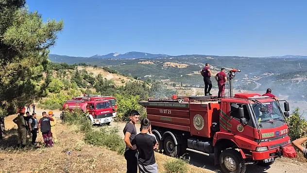 Çalılık Yangınının Bilançosu Ağır: 85 Arı Sandığı Kül Oldu