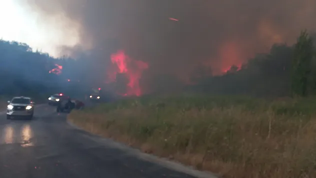 Çanakkale'de orman yangınına havadan ve karadan müdahale