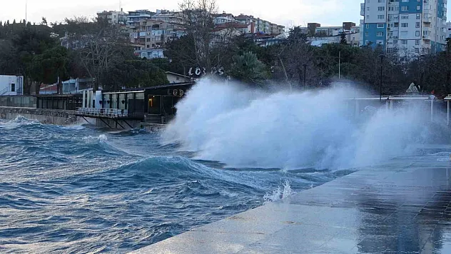 Çanakkale'de şiddetli fırtına: ağaçları devirdi