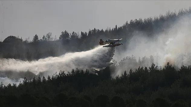Çanakkale'deki orman yangınına müdahale sürüyor