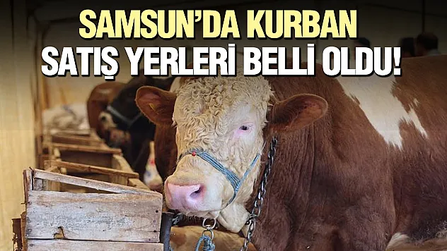 Canik'te kurban satış ve kesim yerleri belirlendi