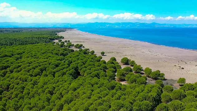 Çarşamba Belediyesi'nden Hürriyet Sahili'nde hummalı temizlik