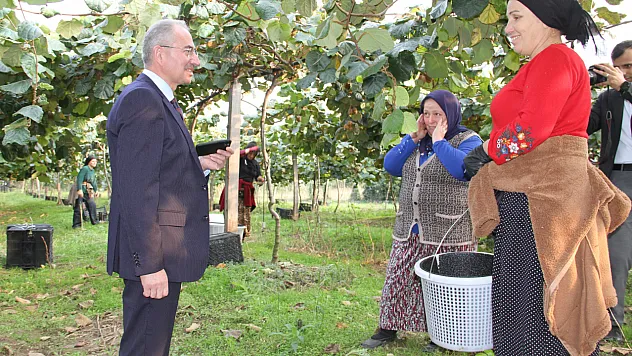 Çarşamba'da '2025 Yılı Kivi Hasat Etkinliği' düzenlendi