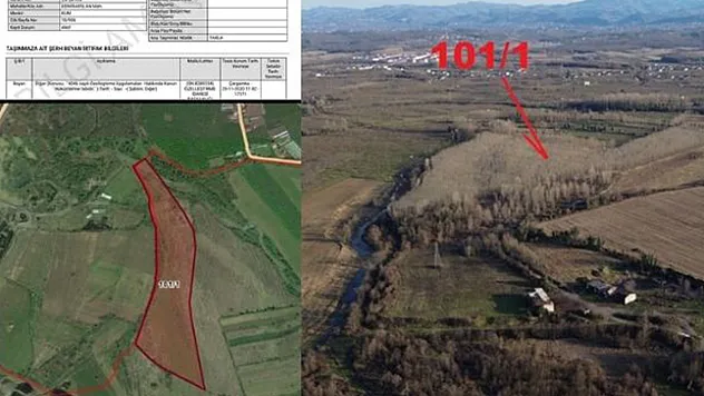 Çarşamba'da 72 dönümlük arazi özelleştirme kapsamında