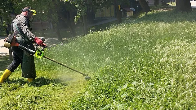 Çarşamba'da çevre düzenleme çalışmaları:  Park, bahçe ve caddeler yaza hazırlanıyor