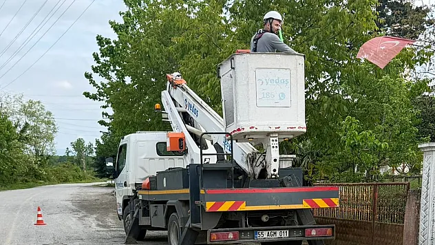 Çarşamba'da elektrik direğinde akıma kapılan leylek telef oldu