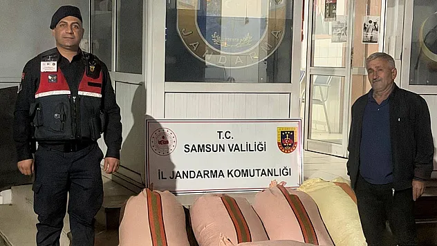 Çarşamba'da fındık alışverişi karakolda bitti: 2 gözaltı