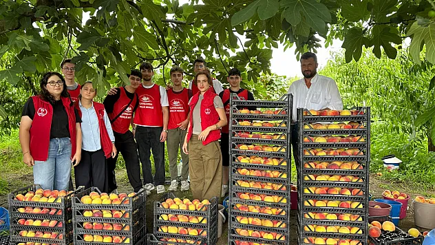 Çarşamba'da 'Gönüllü Hasat Etkinliği' düzenlendi