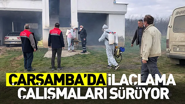 Çarşamba'da ilaçlama çalışmaları sürüyor