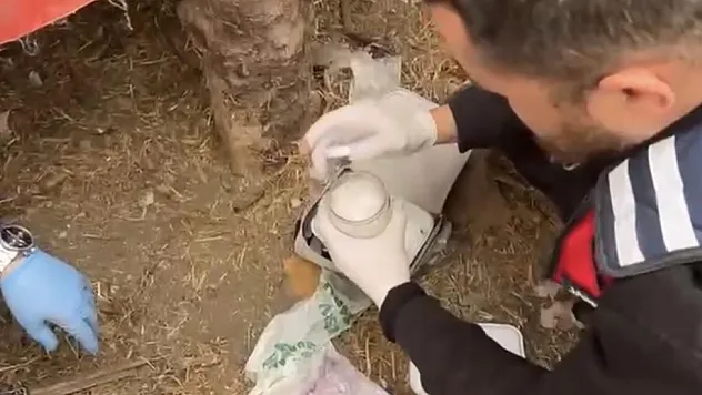 Çarşamba'da kümesden uyuşturucu çıktı!