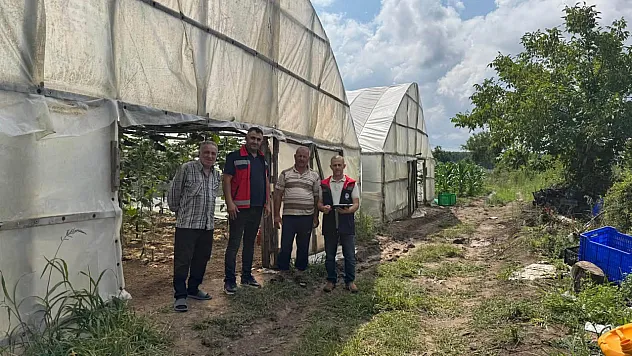 Çarşamba'da serada yerinde tespit