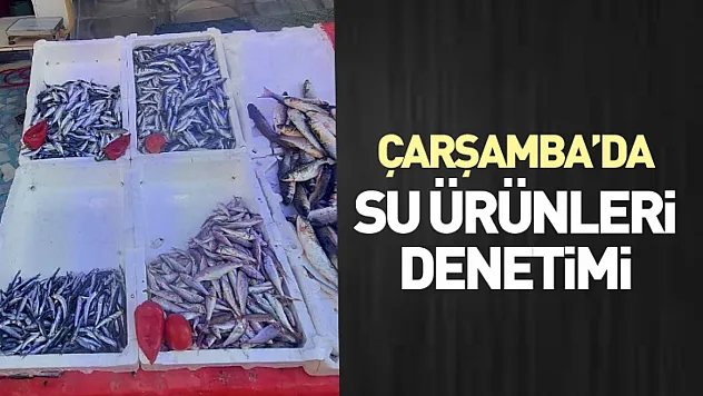 Çarşamba'da su ürünleri denetimi