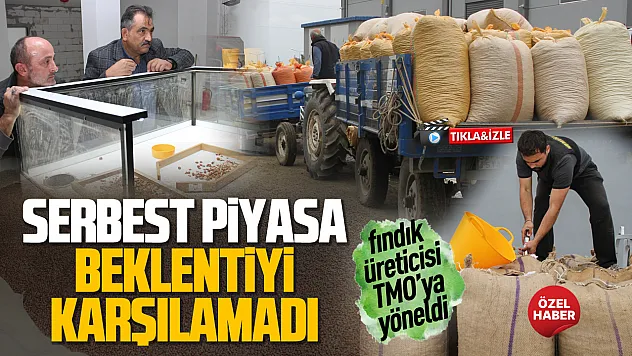 Çarşamba'da TMO alım noktalarında yoğunluk yaşanıyor
