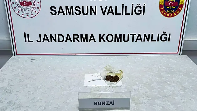 Çarşamba'da Uyuşturucu Operasyonu