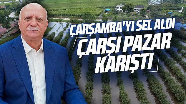 Çarşamba'daki yağış marul ve maydanoz fiyatlarını artırdı