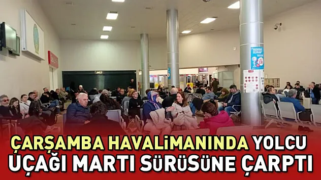 Çarşamba Havalimanında yolcu uçağı martı sürüsüne çarptı