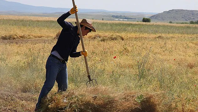 Çarşamba Ovası'nda çiftçinin gözü kulağı desteklerde!
