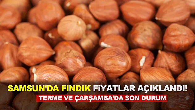 Çarşamba ve Terme'de Sessiz İstila | Alıcılar Fiyatı 177 TL'ye Mi Hapsetti?