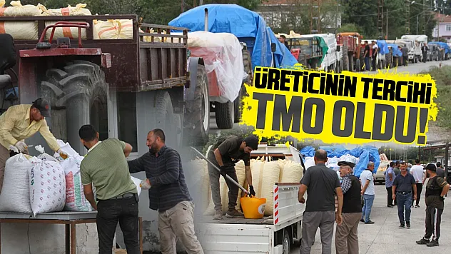 Çarşambalı üreticinin tercihi TMO oldu