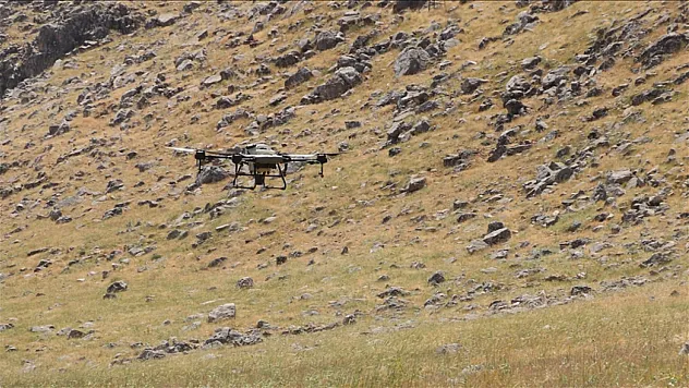 Çekirgelere karşı dronla ilaçlama yapılıyor