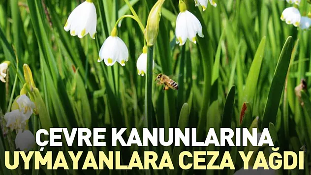 Çevre Kanunlarına uymayanlara ceza yağdı