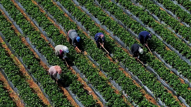 Çiftçilere destek ödemesi bugün yapılacak