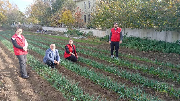 Çiftçilere Yeni Gelir Kapısı: Nergis Projesi